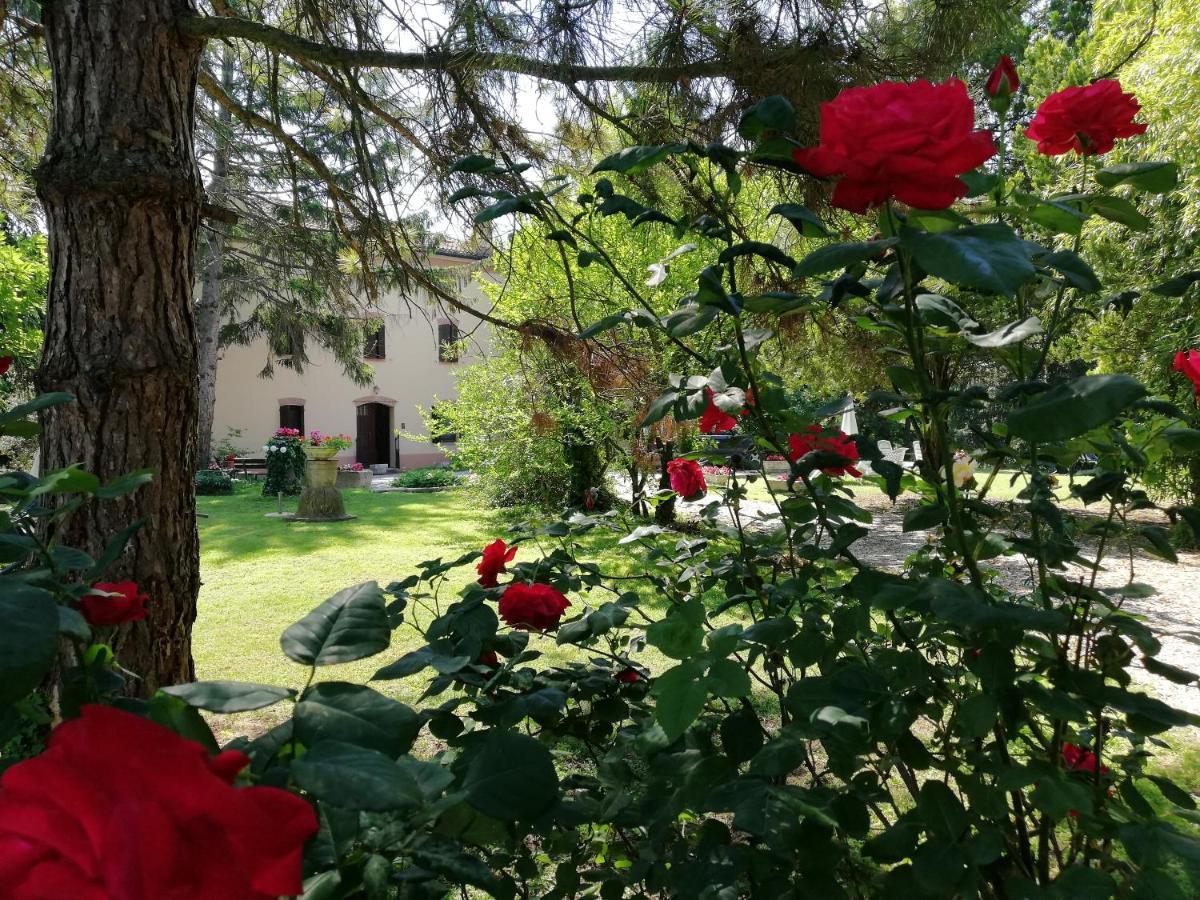 B&B Casa Manuela Mantova Eksteriør billede